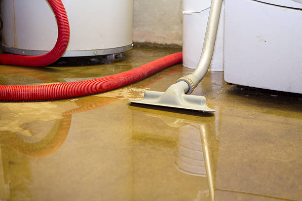 Best Flood damage cleanup  in Palm Valley, FL