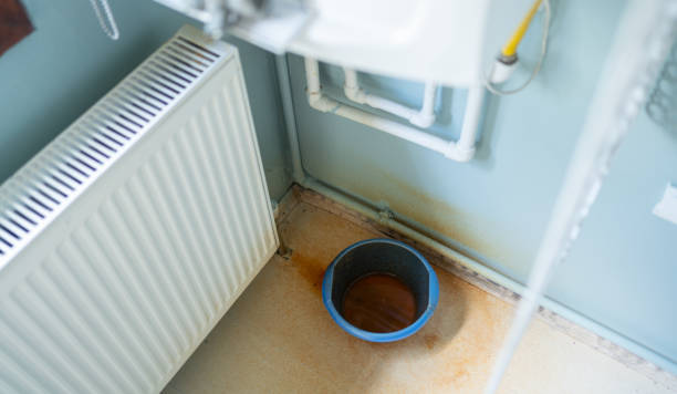 Best Professional water damage repair  in Palm Valley, FL