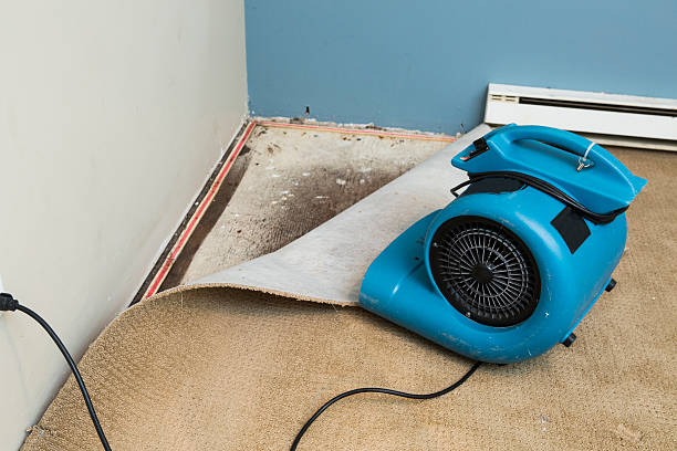 Best Water damage cleanup near me  in Palm Valley, FL